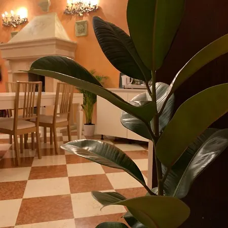 Nc Home Padova Apartmán